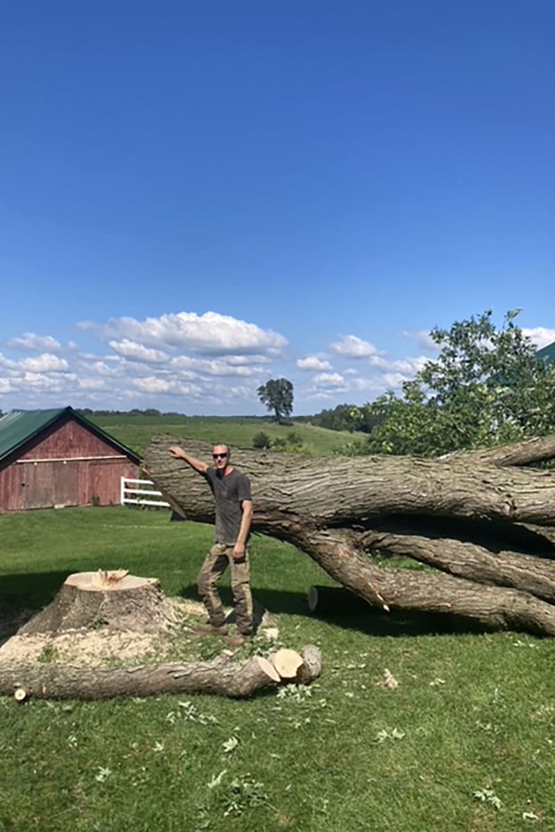Tree Removal 11 Able-33
