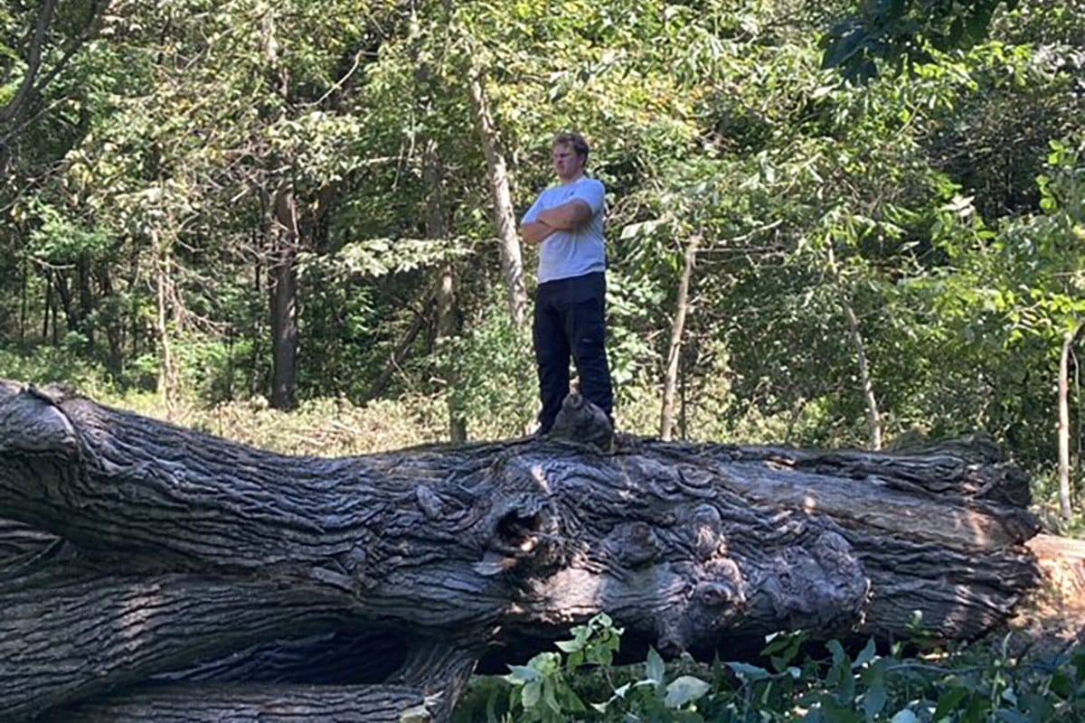 Tree Removal 12 Able-34
