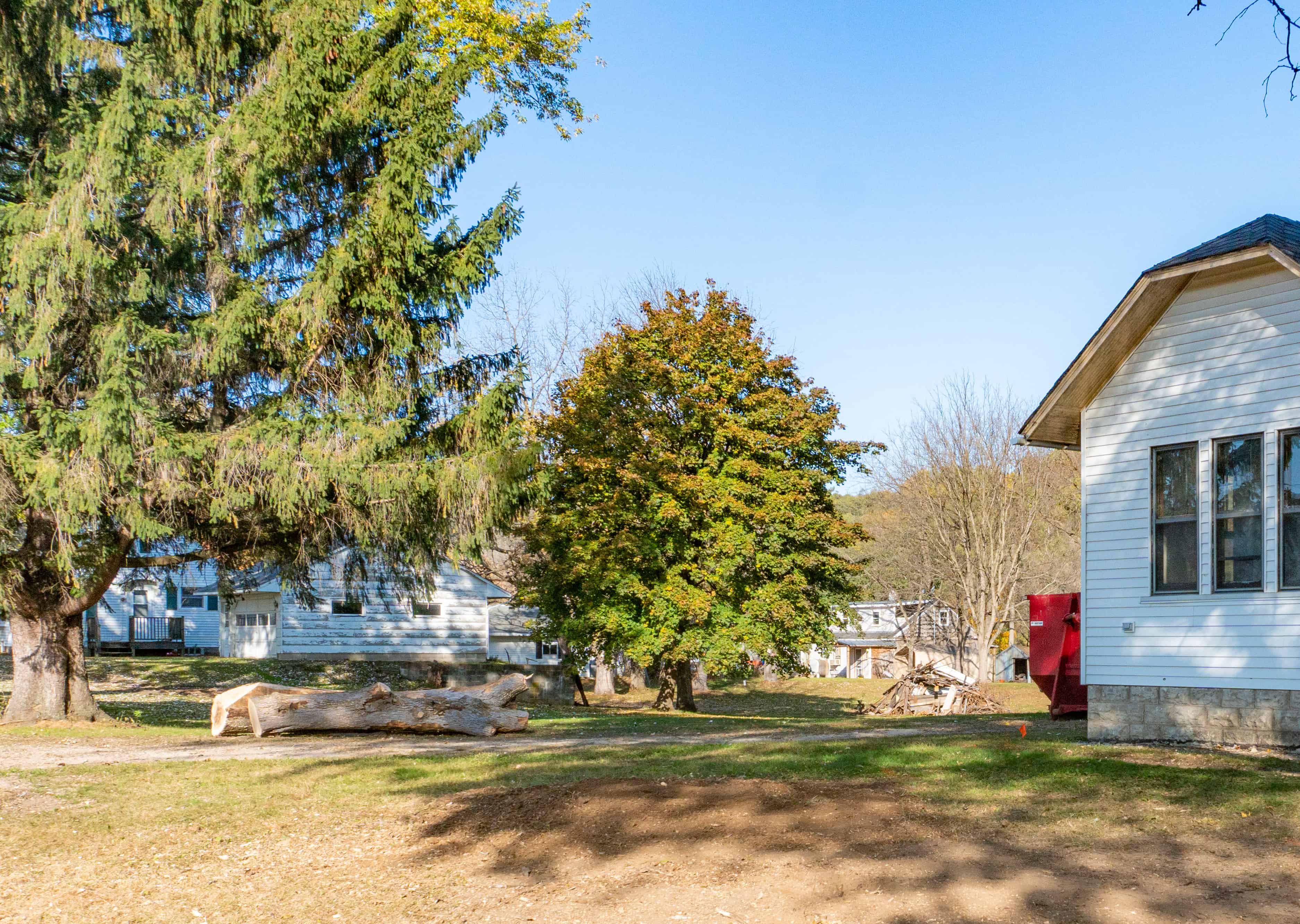 Tree Removal After - Able Tree Service