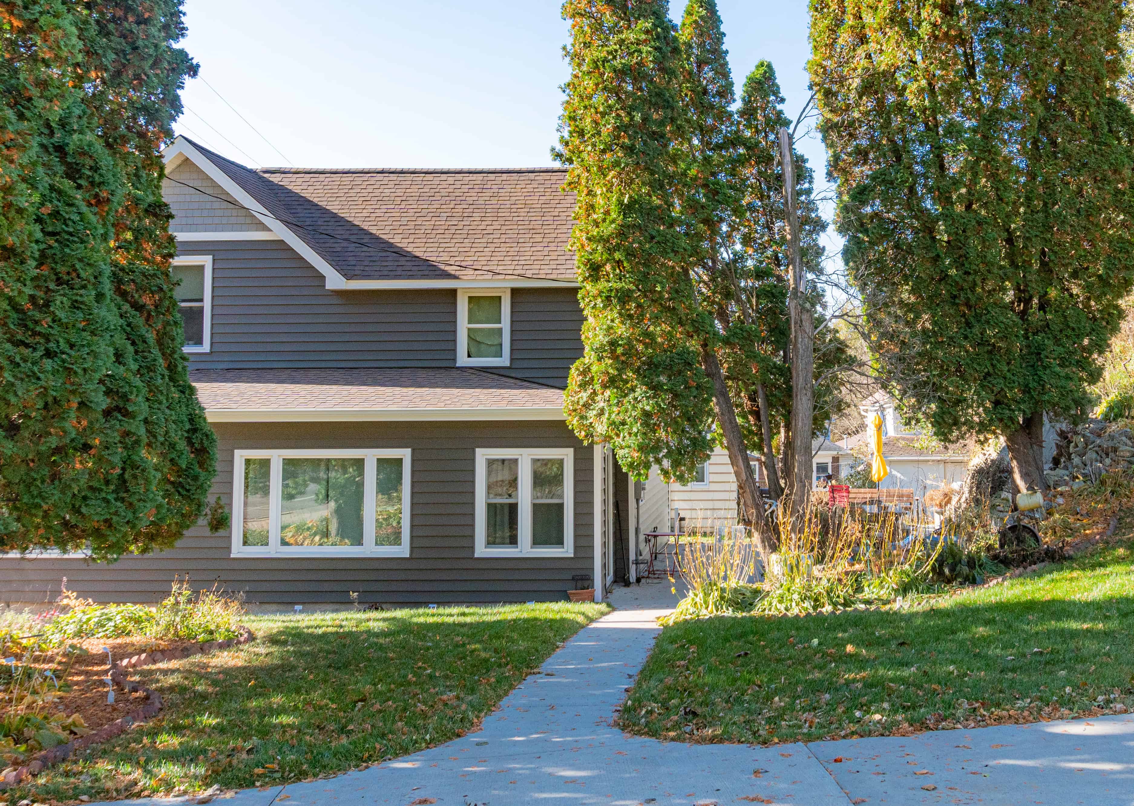 Tree Removal Before - Able Tree Service